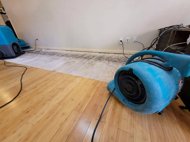 Professional Flood Damage Cleanup technician working in Marianna, PA